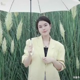 甲米地島內換匯【禁廣告】