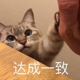 時光預言機社區