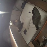 主播福利 家庭攝像頭交流羣