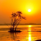 短訊 卡發 一手機房