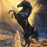 一系列海外社交App?【八馬】