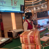 東南亞賭場【華納公司】?