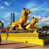 西港性藥💊壯陽藥總店