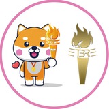 OlympicDogeChina