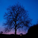 黑夜CVV /交易擔保