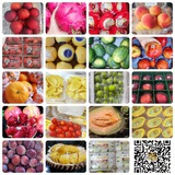 水果&蔬菜&海鮮&鮮花&蛋糕&駕照