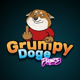 GrumpyDoge Punks