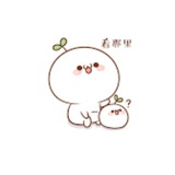 馬尼拉水果樂園批發、零售