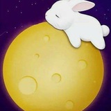 玉兔短訊驗證接碼平台