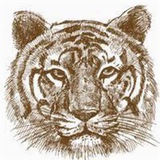 大數據源頭三網dpi