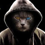 shell黑帽 滲透 棋牌資源整合