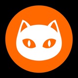 Ninneko Official CN🇨🇳