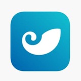 imToken官方中文頻道