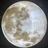 華僑數據 留學生數據/歐美數據源頭