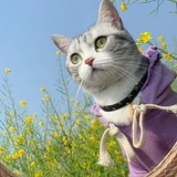 查人/開房記錄/人肉/定位/通話記錄/微信提取/