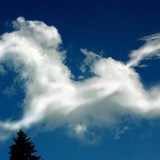 擔保☁️浮雲指定13羣☁️認準浮雲