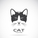 CAT 機場/vps優惠推薦平台