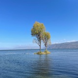 微信視頻號，公眾號～雨夜