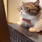 菲律賓二手房子轉租 馬尼拉二手交易房子跳蚤