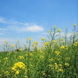 查詢 社工 開房記錄