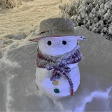 AC團隊閒魚回收鹹魚灰產充值卡偏門兼職