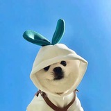 天寶娛樂.支付寶訂單號??